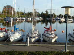 Slideshow Image